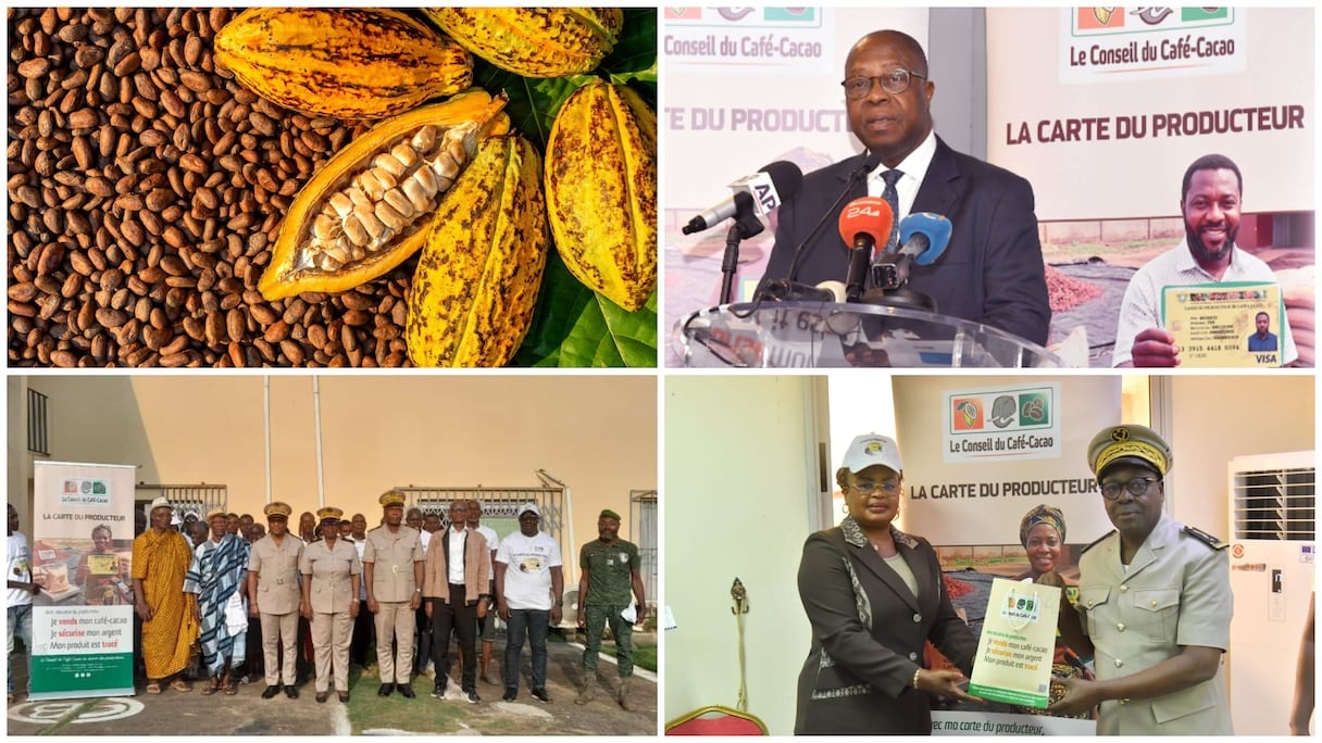 Illustration - Cacao ivoirien : sans carte, plus de fèves à vendre