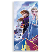 31000905-Frozen-Ana