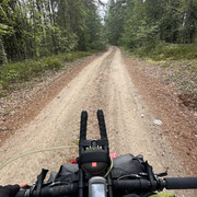 IMG 4551