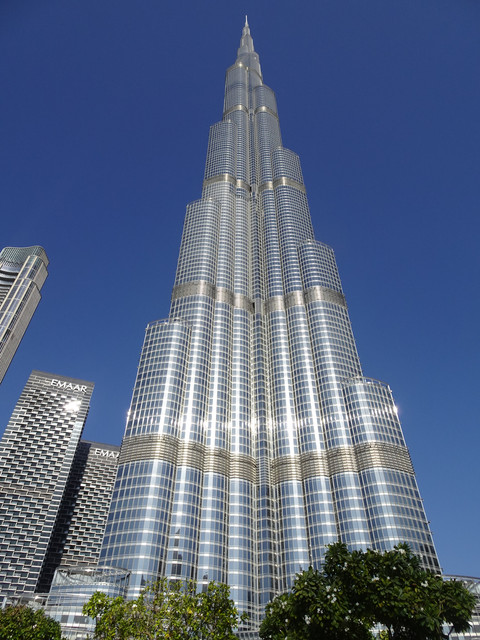 DSC08119.jpg
