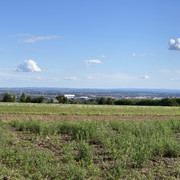 IMG-2524
