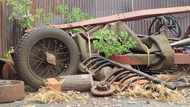 PA051568.jpg