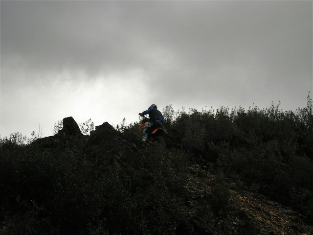 OLYMPUS-DIGITAL-CAMERA.jpg