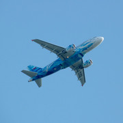 P1190004
