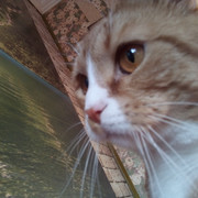 IMG-20220401-090319