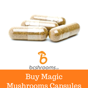 Buy-Shrooms-Canada-at-Bcshrooms-20