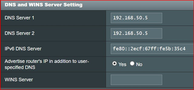 LAN-DNS-v4