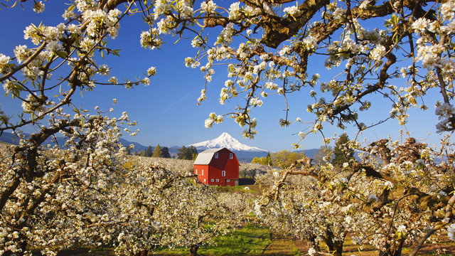 spring-032