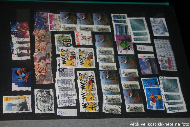 IMG-3707.jpg