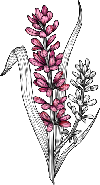 aabe0a3a3ff79bb738ec06b69fea87f4.png