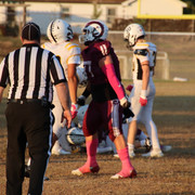IMG-1541