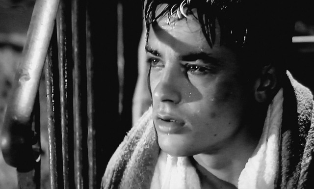 Alain-Delon-Rocco-et-ses-fr-res-1