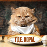 24-korm-3-2.png