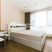 IMG 7991