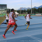 IMG-8104