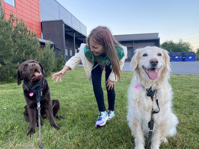 34-D8026-A-A59-A-4953-A094-580-DEB9-FACE