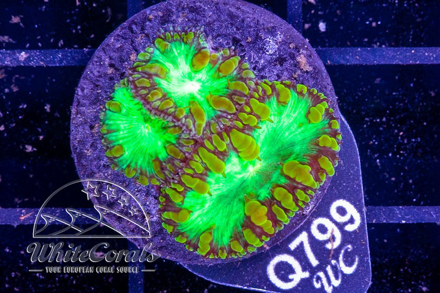 220709-045