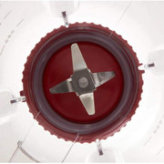BLADERROUGE-4