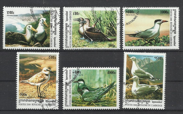 birds 7.jpg