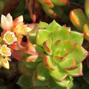 IMG-7857