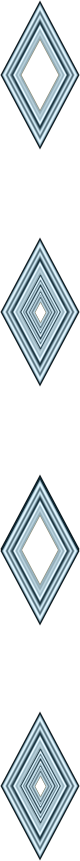 3223.png