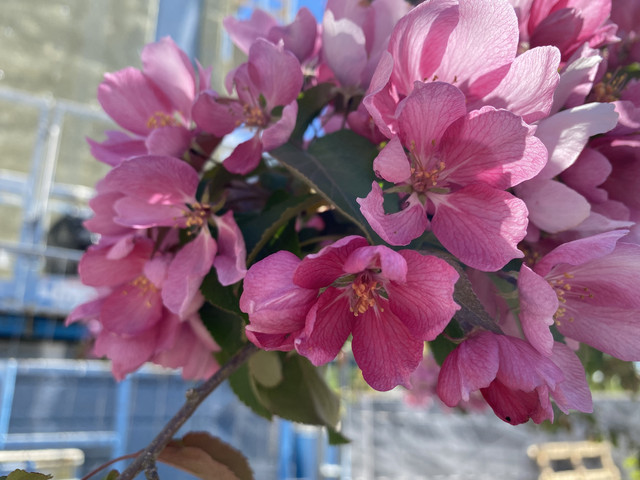 5-A979233-FFF0-40-CD-A57-C-87-F5-D29-D3-