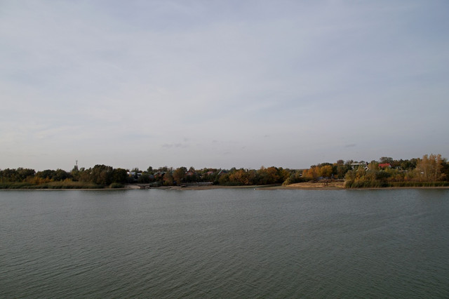 DSC08160.jpg