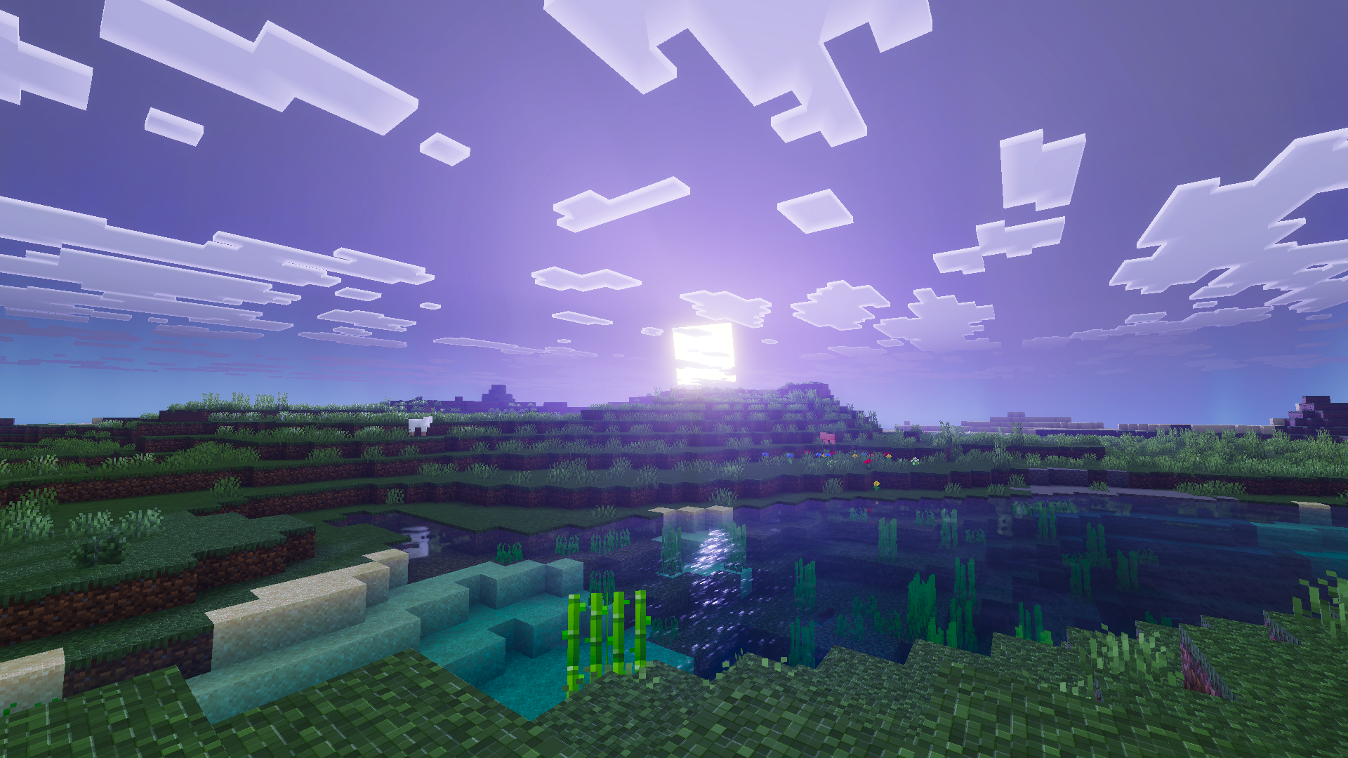 sunset over water purple