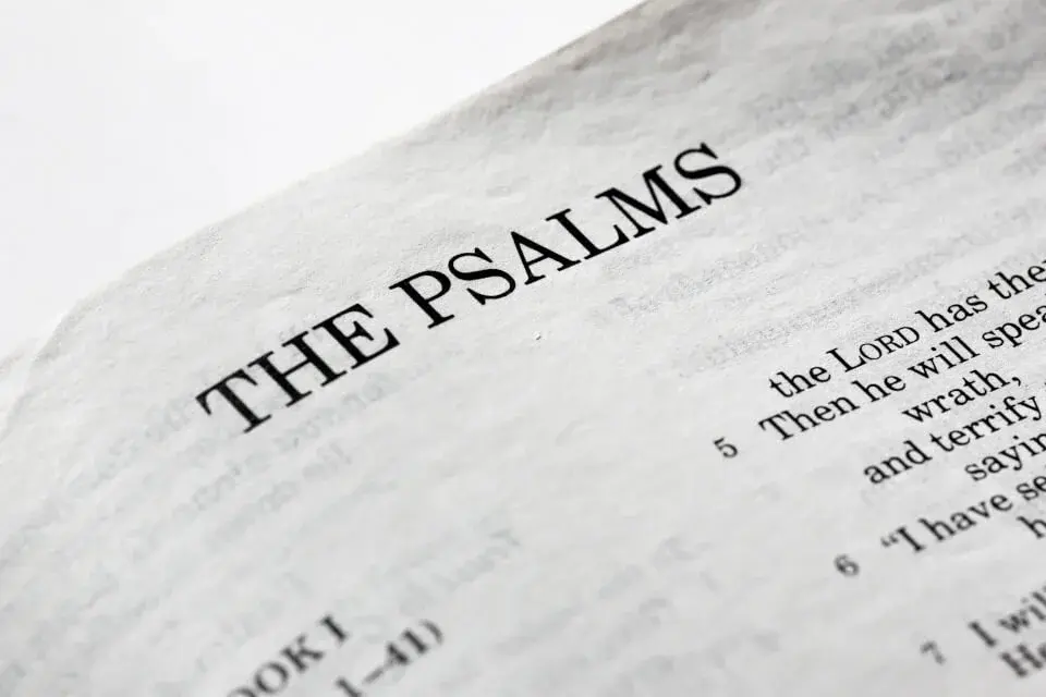 Psalm 11 Offers Solace Amidst Life's Turmoil