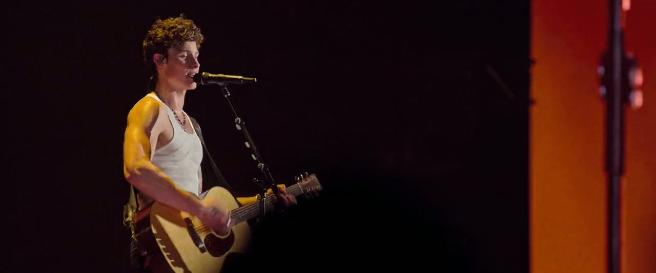 Shawn Mendes: Live in Concert Screenshot