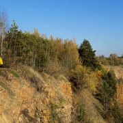 IMG-8195