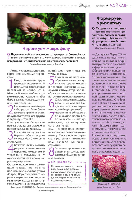 Цветок 2025 11 19.jpg