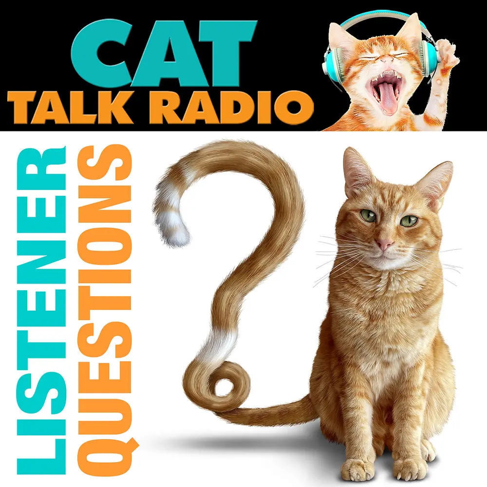 Debunking Feline Nutrition Myths