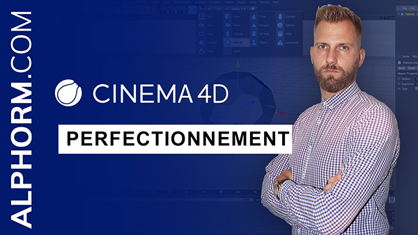 C4-D-Perfectionnement.jpg