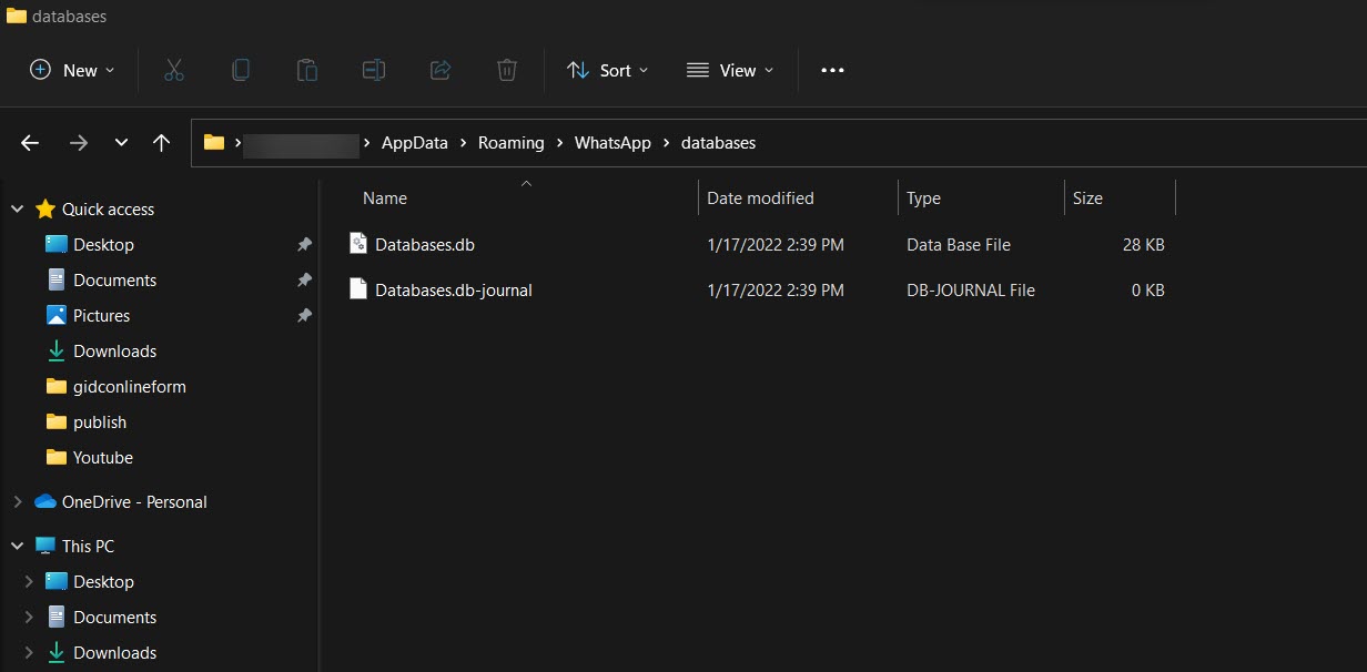 database-whatsapp-folder-in-windows11