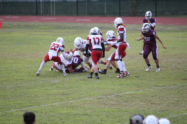 IMG-2985.jpg