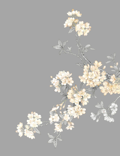 shutterstock 2504272715.jpg