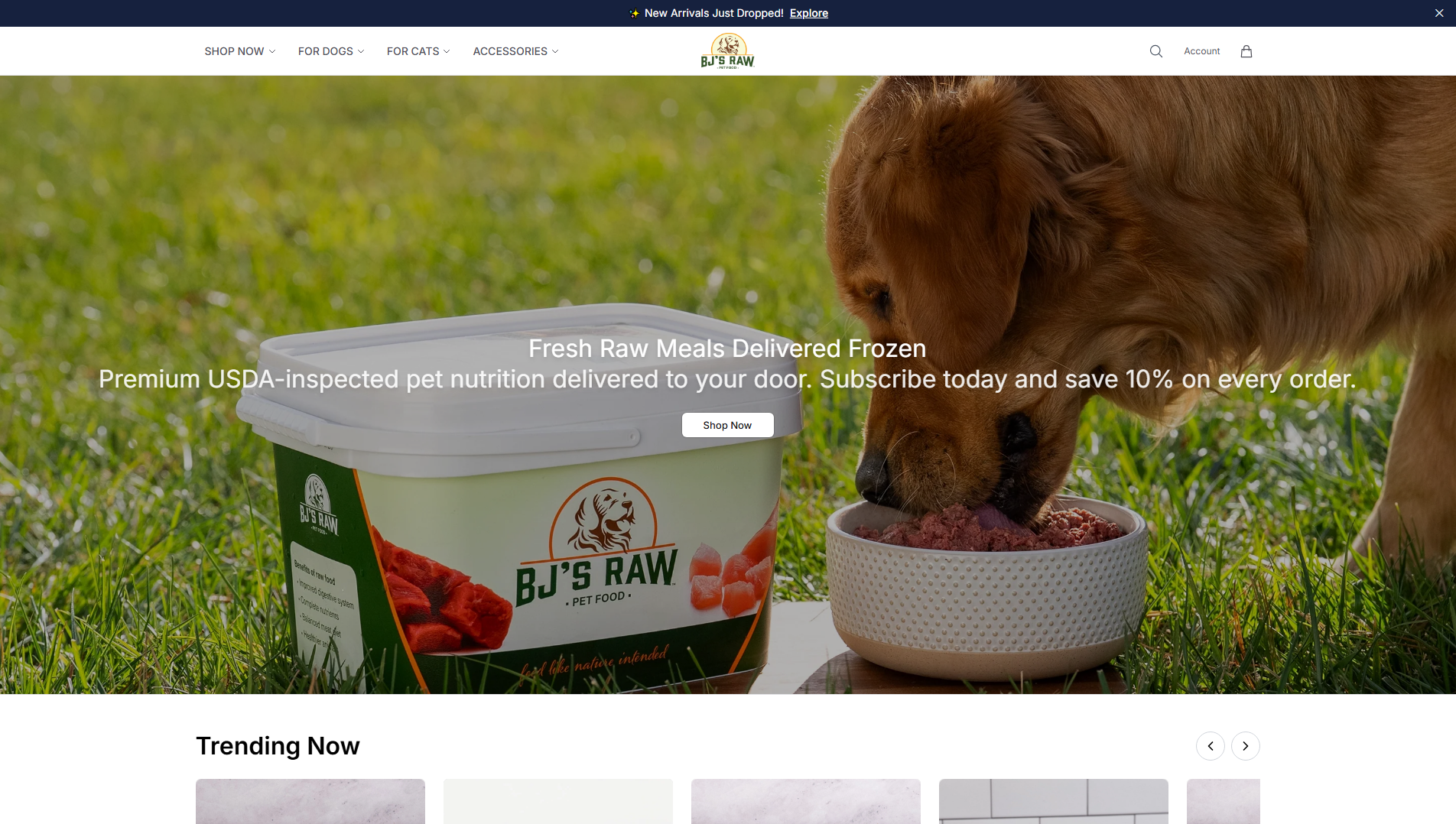 Stored capture of bjsrawpetfooddirect.shop
