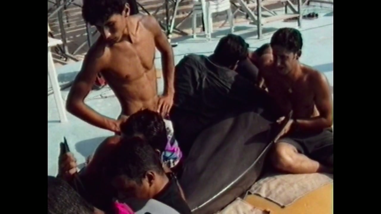 The Last Dolphin King Screenshot