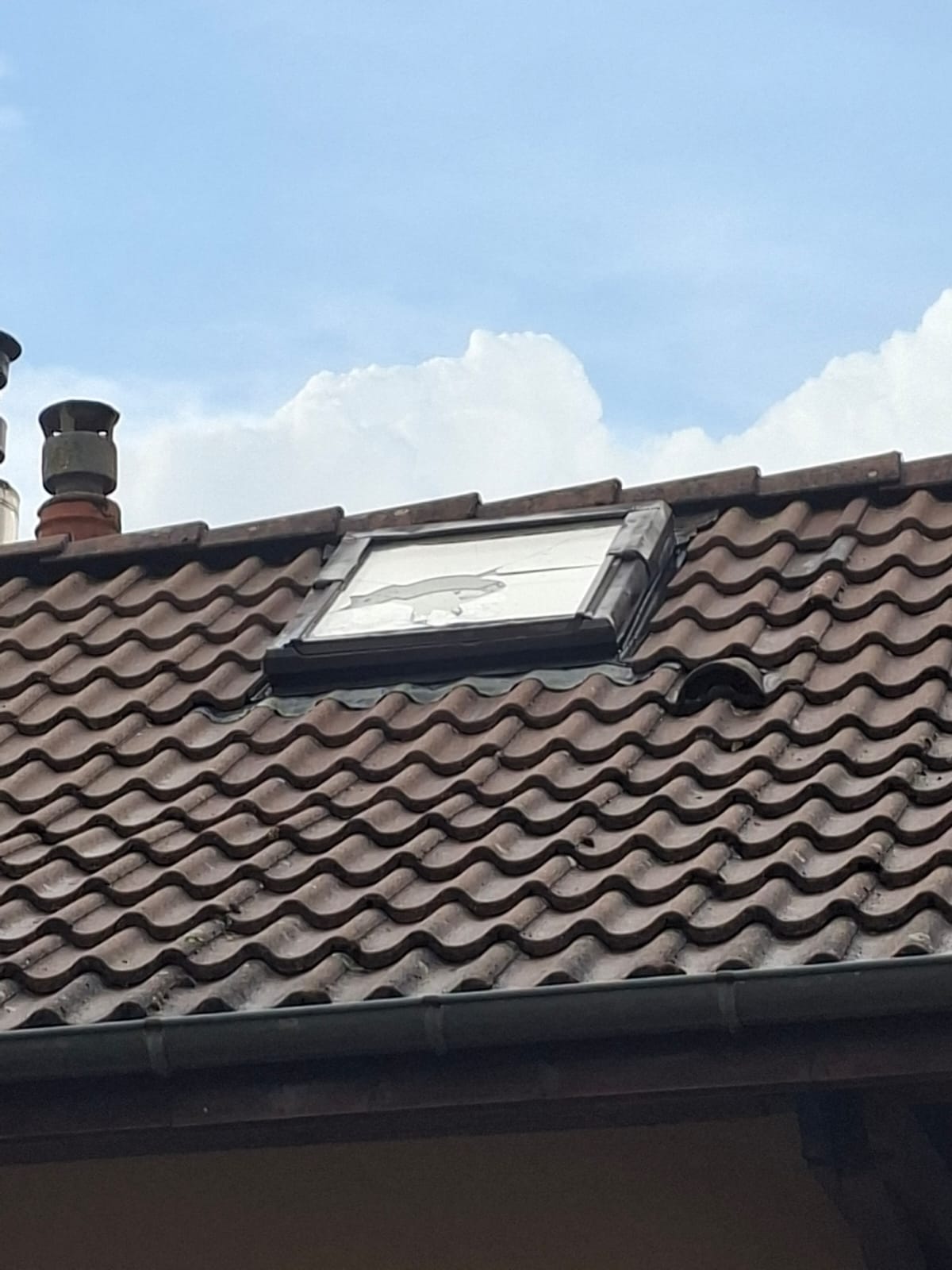 https://i.ibb.co/S7Kp3dtB/sinistres-dijon.jpg