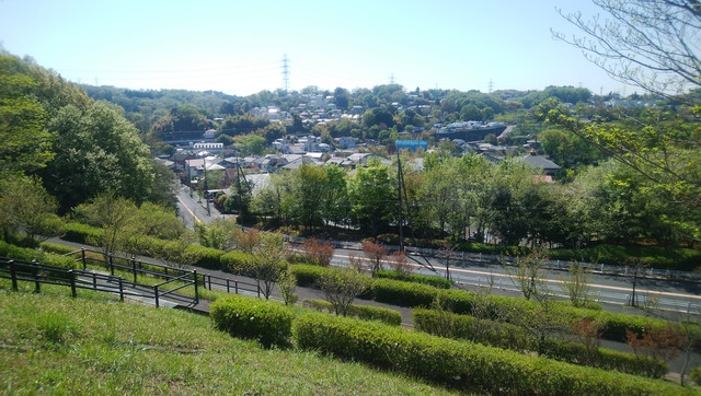 DSC-0006.jpg