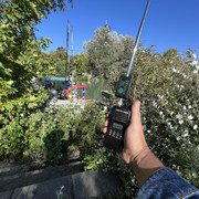 IMG-3216