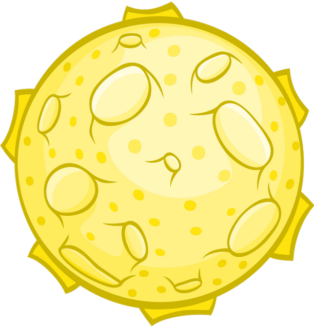 126