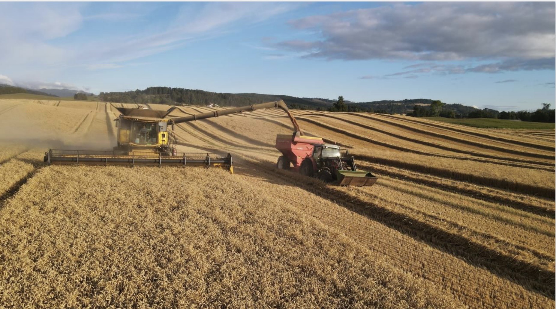 Fundo Agrícola Futrono 312 hás