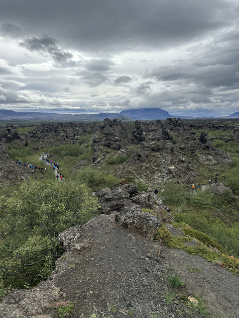 IMG-6710