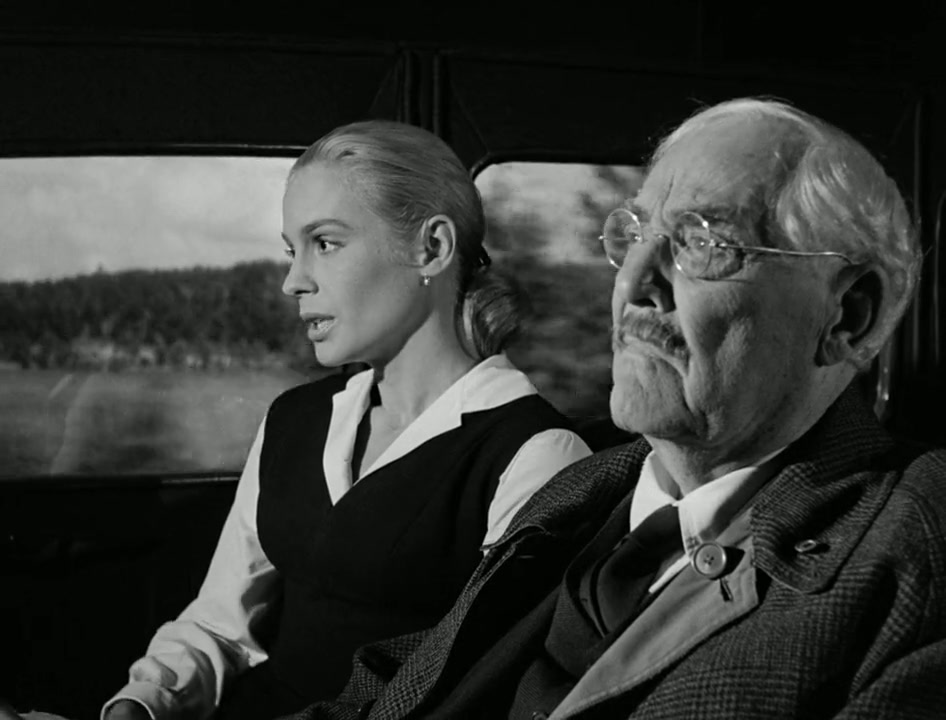 Wild Strawberries Screenshot