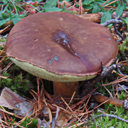 PA010138
