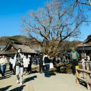gallery Oshino Hakkai 04