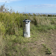 IMG-3353