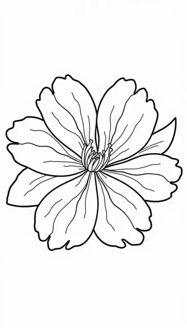 5a05db29756124464b3df2e481a65666.webp